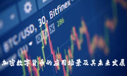 加密数字货币的应用场景及其未来发展