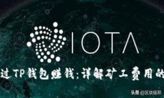 如何通过TP钱包赚钱：详解