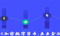探索AMC加密数字货币：未