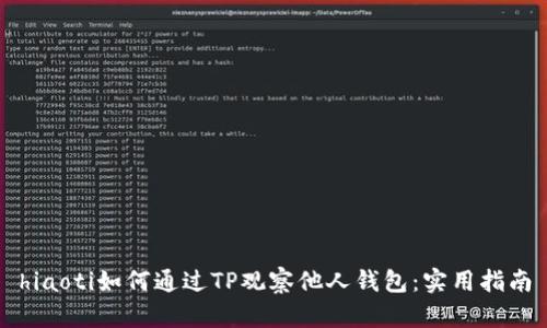 hiaoti如何通过TP观察他人钱包：实用指南