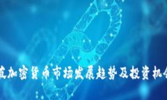 新加坡加密货币市场发展