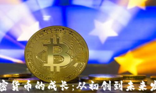 
中国加密货币的成长：从初创到未来发展趋势
