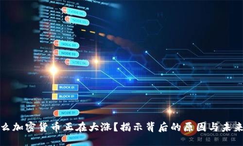 优质
为什么加密货币正在大涨？揭示背后的原因与未来趋势