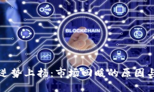 加密货币逆势上扬：市场回暖的原因与未来展望