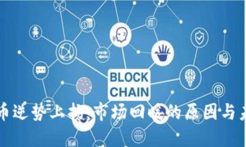 加密货币逆势上扬：市场回暖的原因与未来展望