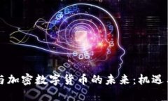 马云与加密数字货币的未