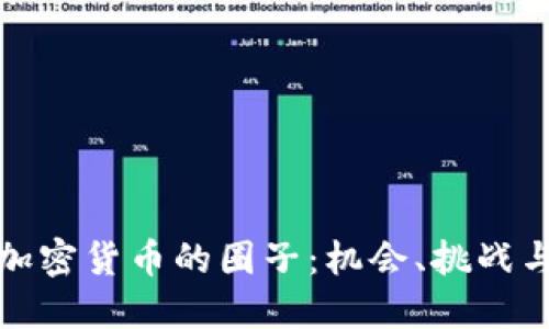 深入了解加密货币的圈子：机会、挑战与未来趋势