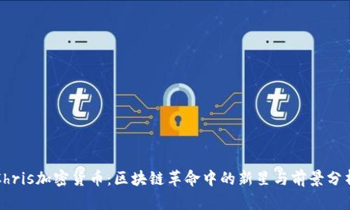 Chris加密货币：区块链革命中的新星与前景分析