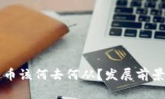 国内加密货币该何去何从