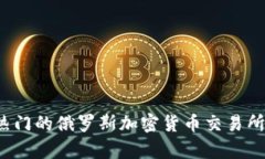 2023年热门的俄罗斯加密货