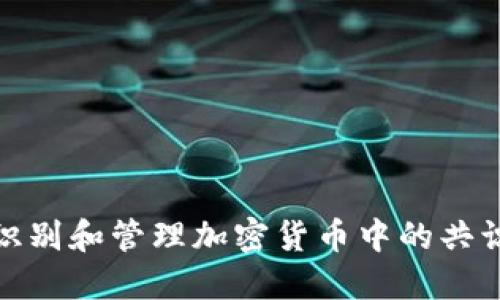 如何识别和管理加密货币中的共识风险