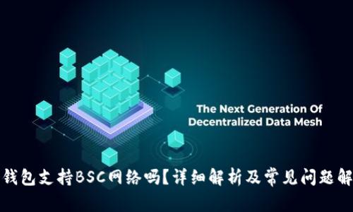 TP钱包支持BSC网络吗？详细解析及常见问题解答