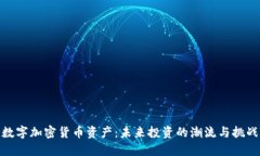 数字加密货币资产：未来