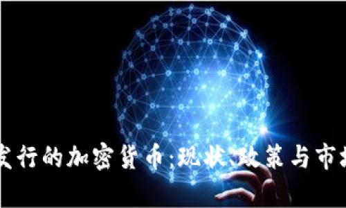 国内发行的加密货币：现状、政策与市场分析