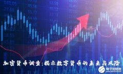 加密货币调查：揭示数字