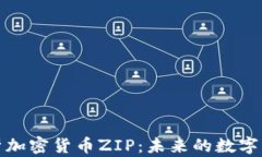 深度解析加密货币ZIP：未