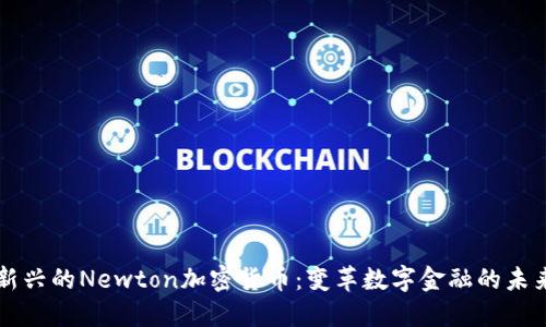 新兴的Newton加密货币：变革数字金融的未来