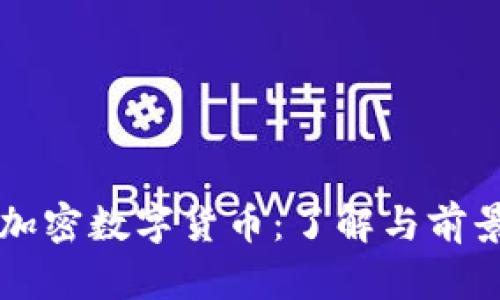 法定加密数字货币：了解与前景分析
