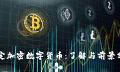 法定加密数字货币：了解