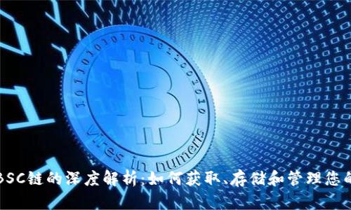 TP钱包与BSC链的深度解析：如何获取、存储和管理您的数字资产