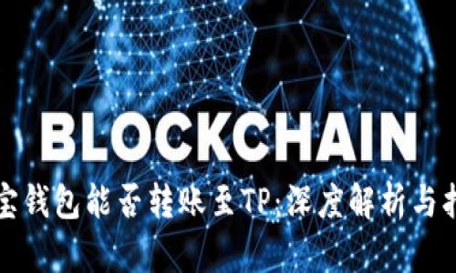 波宝钱包能否转账至TP：深度解析与指南