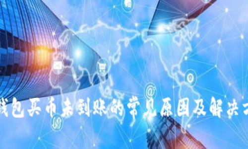 TP钱包买币未到账的常见原因及解决方案