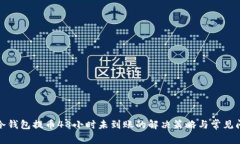 tp冷钱包提币48小时未到账的解决策略与常见问题
