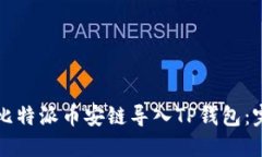 如何将比特派币安链导入TP钱包：完整指南