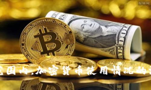 : 全球范围内，加密货币使用情况的深入分析