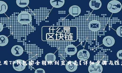 如何使用TP钱包安全转账到蓝贝壳？详细步骤与注意事项