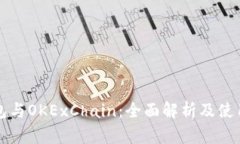TP钱包与OKExChain：全面解析