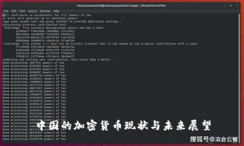 中国的加密货币现状与未来展望