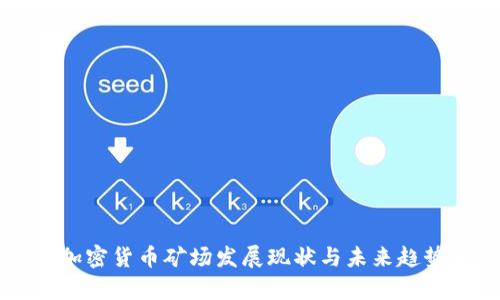 中国加密货币矿场发展现状与未来趋势分析