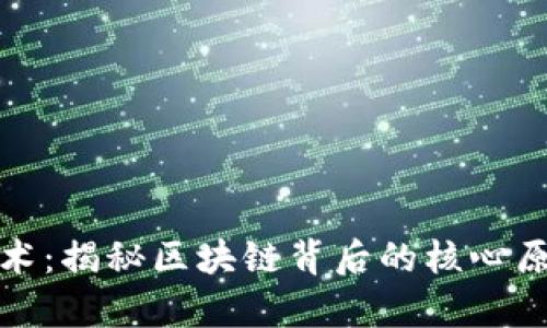 加密货币账本技术：揭秘区块链背后的核心原理及其应用前景