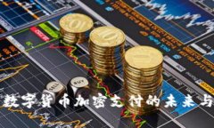 中国数字货币加密支付的