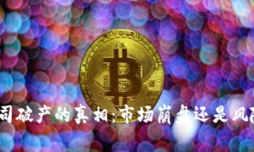 加密货币公司破产的真相：市场崩盘还是风险管理不善?