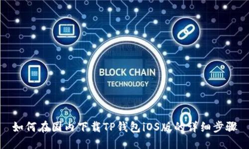 如何在国内下载TP钱包iOS版的详细步骤
