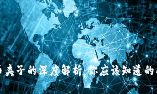 加密货币夹子的深度解析：你应该知道的所有细节