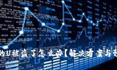 tp钱包的U被盗了怎么办？解决方案与预防技巧