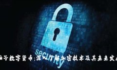 柚子数字货币：深入了解