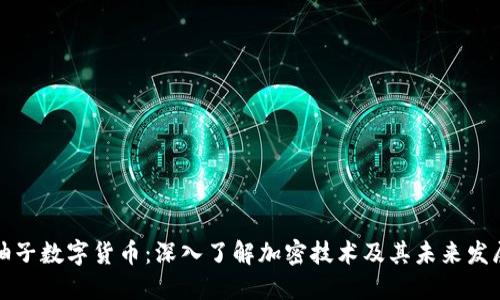 柚子数字货币：深入了解加密技术及其未来发展