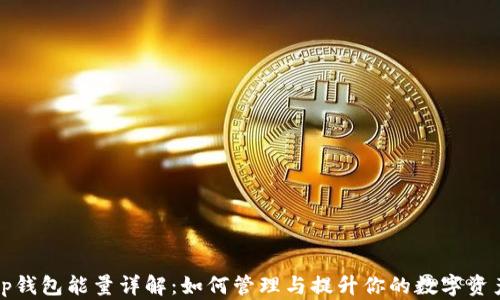 
tp钱包能量详解：如何管理与提升你的数字资产