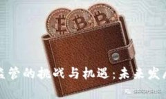 加密货币监管的挑战与机