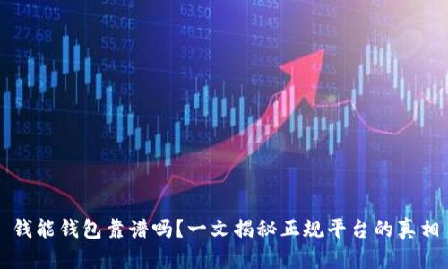 钱能钱包靠谱吗？一文揭秘正规平台的真相