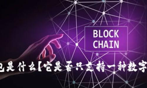TP钱包是什么？它是否只支持一种数字货币？