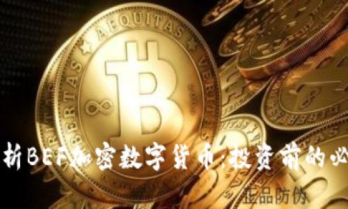 全面解析BEF加密数字货币：投资前的必读指南