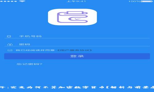 柚子：究竟为何不算加密数字货币？解析与前景展望