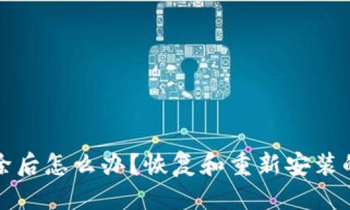 优质  
TP钱包删除后怎么办？恢复和重新安装的完整指南