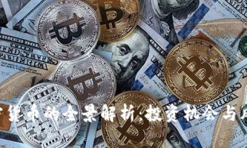 SPP加密货币的全景解析：投资机会与风险分析