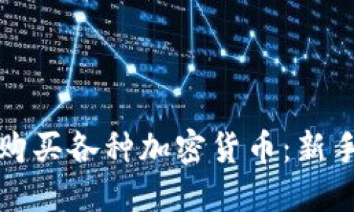 如何购买各种加密货币：新手指南